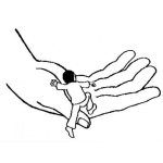 Dibujo para colorear La Mano De DIOS Para Colorear