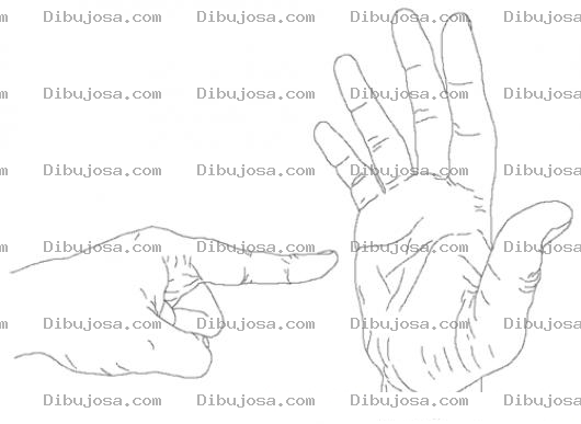 Dibujo para colorear La Palma De La Mano Para Colorear