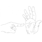 Dibujo para colorear La Palma De La Mano Para Colorear