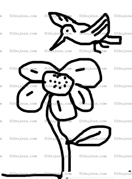 Dibujo para colorear Dibujo De Una Flor Con Un Colobri Para Colorear