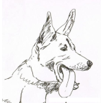 Dibujo para colorear Dibujo De Perro Con Lengua De Fuera Para Pintar Y Colorear Pastor Aleman Cansado Y Sediento