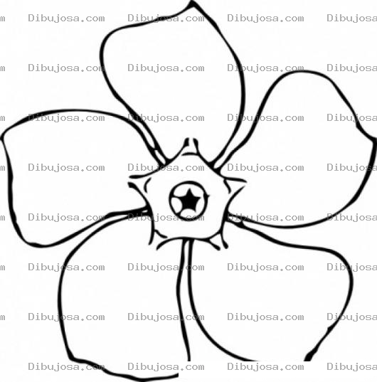 Dibujo para colorear Flor De 5 Petalos Para Colorear