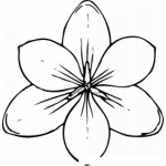 Dibujo para colorear Flor De 6 Petalos Para Colorear
