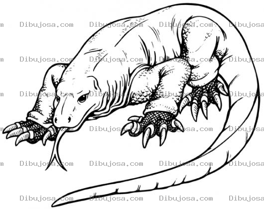 Dibujo para colorear Dibujo De Dragon Iguana Komodo Para Pintar Y Colorear