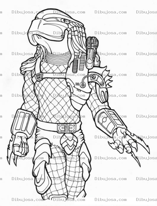 Dibujo para colorear Dibujo Del Depredador Para Pintar Y Colorear Al Depredator