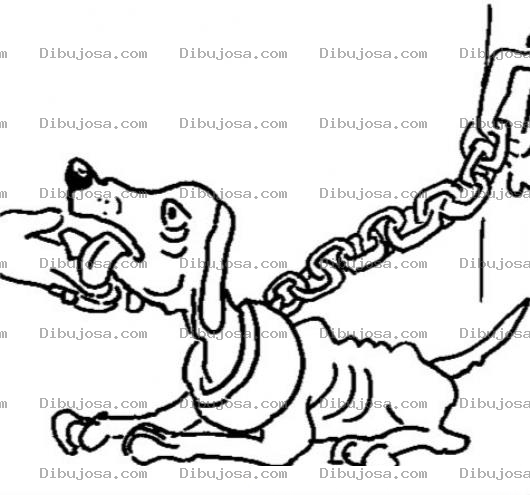Dibujo para colorear Colorear Perro Encadenado Dibujo De Perrito Desnutrido Y Hambriento Con Una Cadena Al Cuello Para Pintar Y Colorear