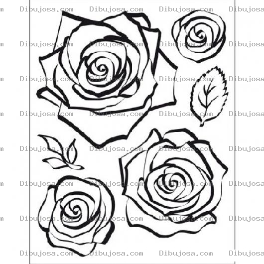 Dibujo para colorear Colorear Capullos De Rosas Para Pintar