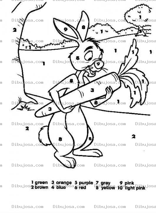Dibujo para colorear Colorear Por Numeros En Ingles Conejo De Guini Pu