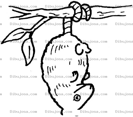 Dibujo para colorear Dibujo De Un Raton Colgado De Una Rama Para Colorear