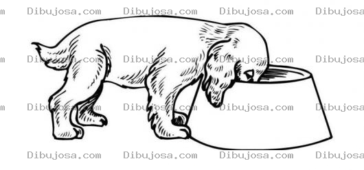 Dibujo para colorear Dibujo De Cachorrito Comiendo Concentrado Para Colorear