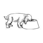 Dibujo para colorear Dibujo De Cachorrito Comiendo Concentrado Para Colorear