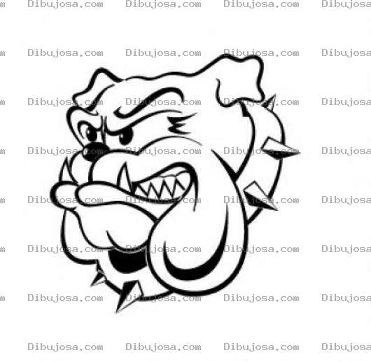 Dibujo para colorear Bulldog Cacheton Para Pintar Y Colorear