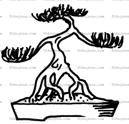 Dibujo para colorear Bonsai Para Colorear
