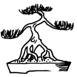 Dibujo para colorear Bonsai Para Colorear