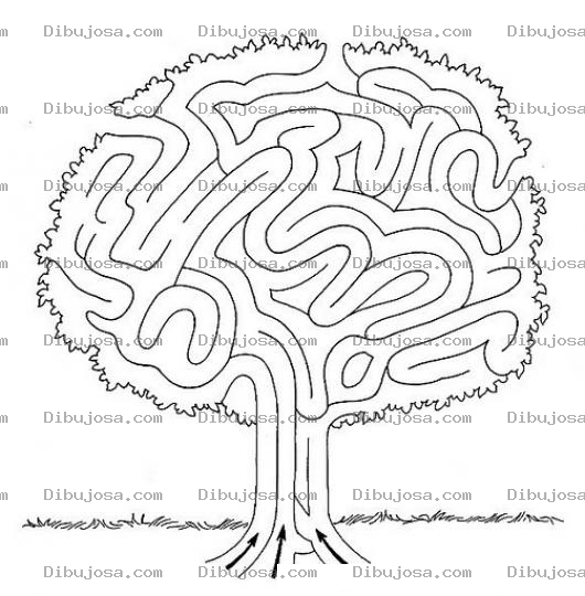 Dibujo para colorear Elige El Camino Correcto Para Pintar Y Colorear