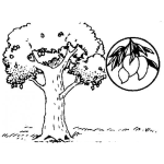 Dibujo para colorear Palo De Mango Dibujo De Un Arbol De Mangos Para Pintar Y Colorear