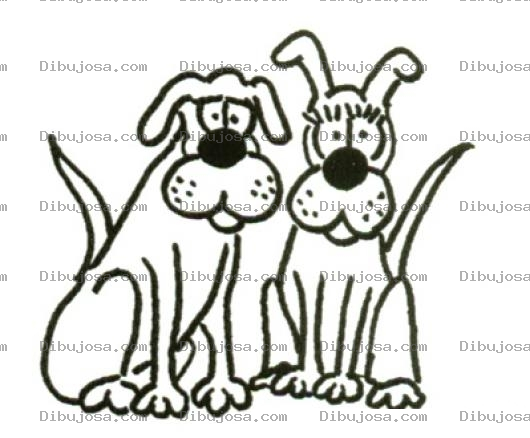 Dibujo para colorear Colorear Perro Y Perra