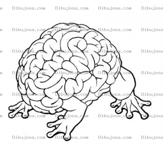 Dibujo para colorear Ranacerebro Dibujo De Un Cerebr Con Paras De Rana Para Pintar Y Colorear Cerebrorana Sapocerebro Cerebrosapo