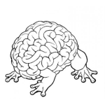 Dibujo para colorear Ranacerebro Dibujo De Un Cerebr Con Paras De Rana Para Pintar Y Colorear Cerebrorana Sapocerebro Cerebrosapo