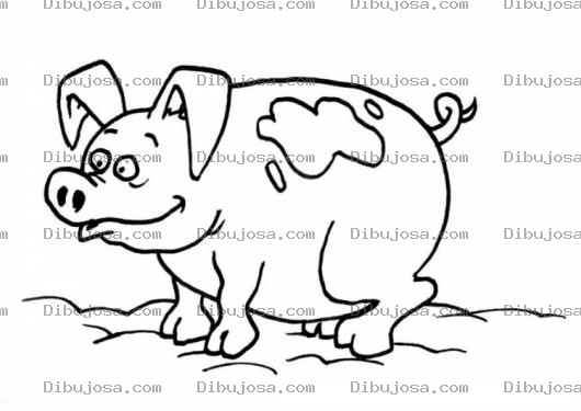 Dibujo para colorear Colorear un cerdo o marrano