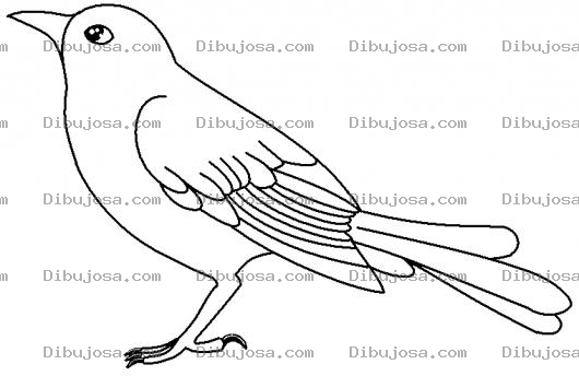 Dibujo para colorear Dibujo De Pajaro Viendo Para Arriba Para Pintar Y Colorear