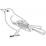 Dibujo para colorear Dibujo De Pajaro Viendo Para Arriba Para Pintar Y Colorear