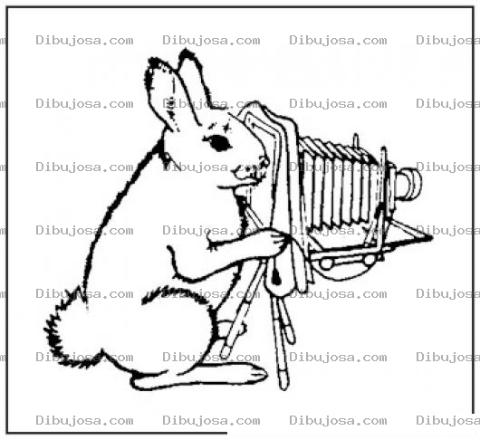 Dibujo para colorear Conejo Fotografo Dibujo De Conejito Con Camara De Fotos Profesional Para Pintar Y Colorear