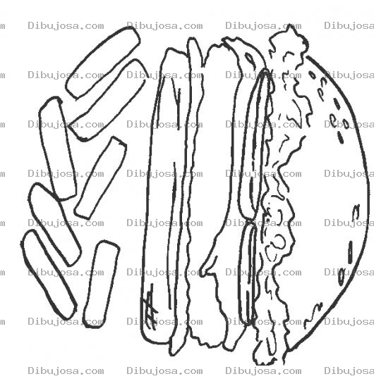 Dibujo para colorear Colorear Hamburguesa Con Papas Fritas
