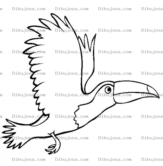 Dibujo para colorear Dibujo De Tucan Volando Para Pintar Y Colorear