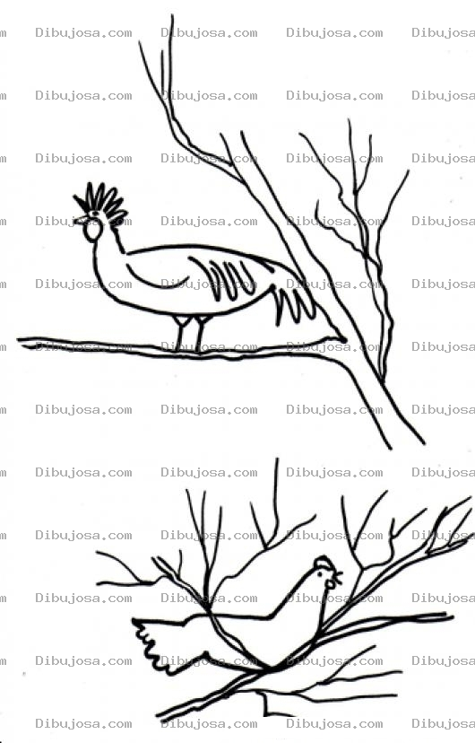 Dibujo para colorear Gallinas En Los Arboles Para Colorear Dibujo De Gallo Y Gallina En Ramas De Arbol