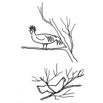 Dibujo para colorear Gallinas En Los Arboles Para Colorear Dibujo De Gallo Y Gallina En Ramas De Arbol