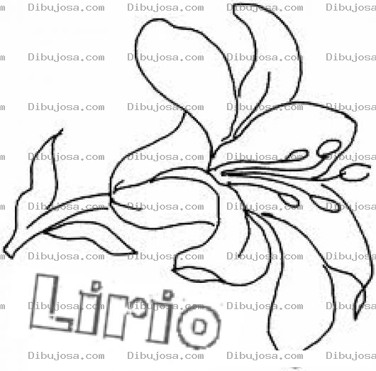 Dibujo para colorear El Lirio De Los Valles Para Colorear Y Pintar