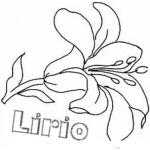 Dibujo para colorear El Lirio De Los Valles Para Colorear Y Pintar