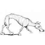 Dibujo para colorear Perro Desnutrido Dibujo De Un Perro Cansado Flaco Y Hambriento Para Colorear