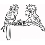 Dibujo para colorear Loros Ajedrecistas Dibujo De Dos Loros Jugando Ajedrez Para Pintar