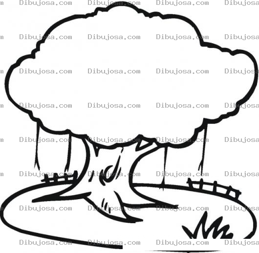 Dibujo para colorear Colorear Ceiba