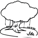 Dibujo para colorear Colorear Ceiba