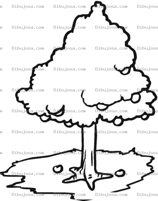 Dibujo para colorear Colorear Arbol de Manzanas
