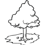 Dibujo para colorear Colorear Arbol de Manzanas