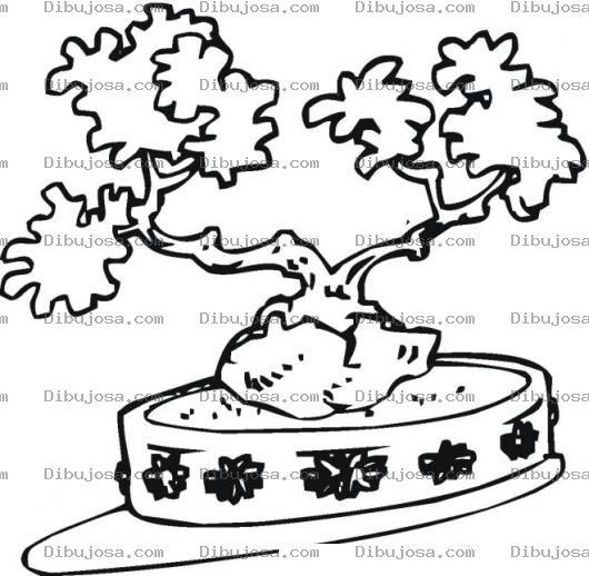 Dibujo para colorear Colorear Arbol Bonsai
