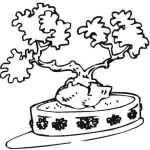 Dibujo para colorear Colorear Arbol Bonsai