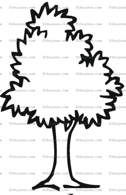 Dibujo para colorear Colorear Arbusto