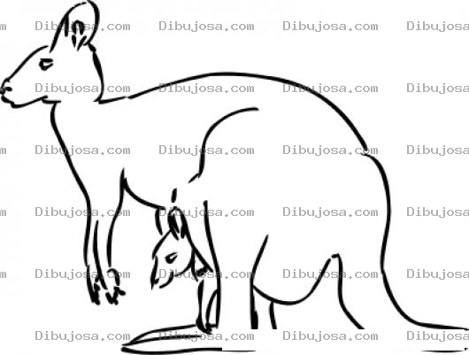 Dibujo para colorear Dibujo De Mama Canguro Con Su Bebe Canguro Para Colorear