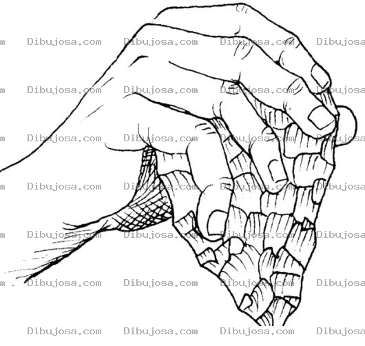 Dibujo para colorear Mano Con Punal De Piedra Para Colorear