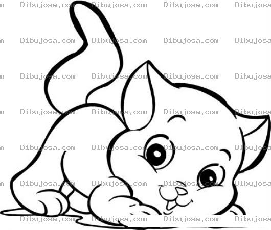 Dibujo para colorear Gato Bebe Para Pintar Y Colorear A Un Gatito Cachorrito Dibujo De Un Minino Mish Gatio Chiquito Y Bonito