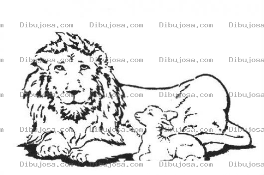 Dibujo para colorear Leon Amaestrado Dibujo De Un Leo Pacifico Con Un Corderito Para Pintar Y Colorear Leon Y Cordero