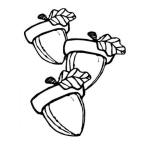 Dibujo para colorear 3bellotas Dibujo De Tres Bellotas Para Pintar Y Colorear