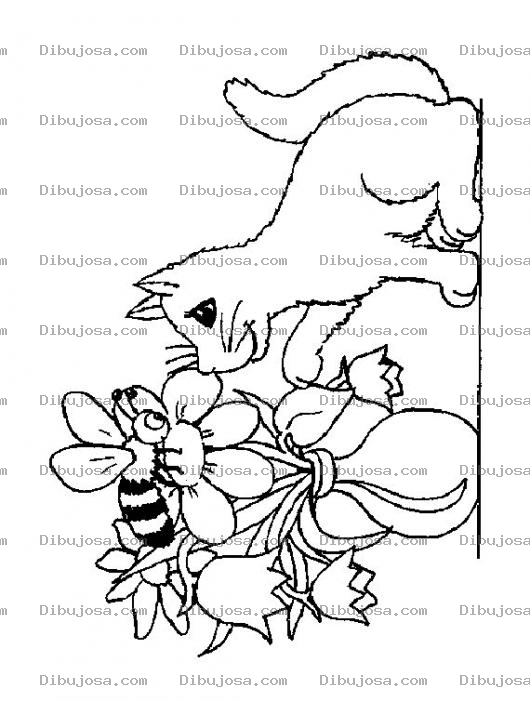 Dibujo para colorear Dibujo De Gato Con Abeja Para Pintar Y Colorear