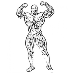 Dibujo para colorear Ronnie Coleman Coloring Page