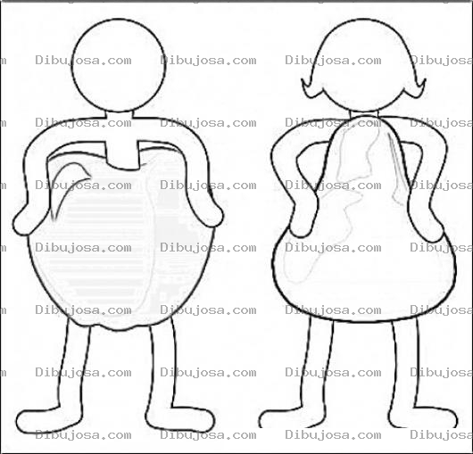 Dibujo para colorear Hombre Manzana Y Mujer Pera Para Pintar Y Colorear La Forma De La Grasa En Ambos Sexos